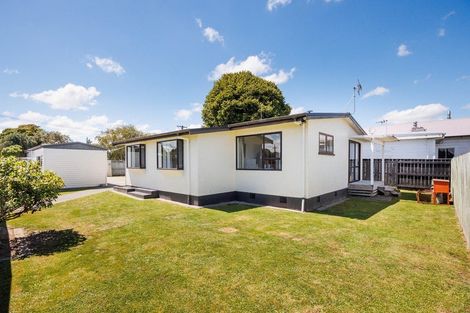 Photo of property in 47 Monmouth Street, Feilding, 4702