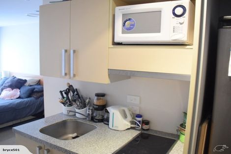 Photo of property in Dual Apartments, 108/142 Vivian Street, Te Aro, Wellington, 6011