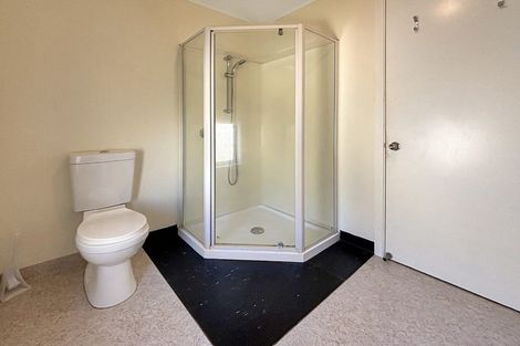 Photo of property in 17 Hankey Street, Mount Cook, Wellington, 6011