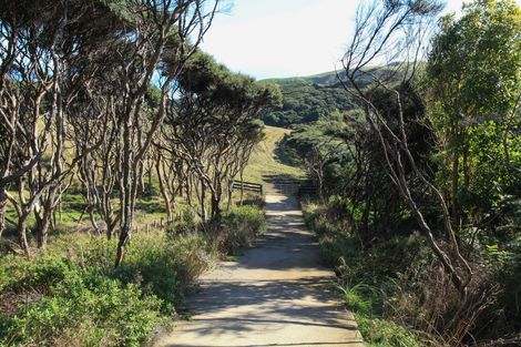 Photo of property in 1638 Whaanga Road, Raglan, 3296