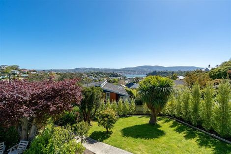 Photo of property in 53 Spottiswoode Street, Tainui, Dunedin, 9013