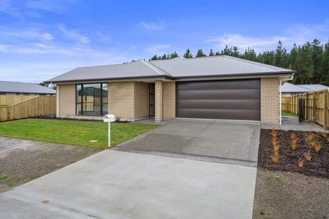 Photo of property in 71 Hilton Drive, Amberley, 7410