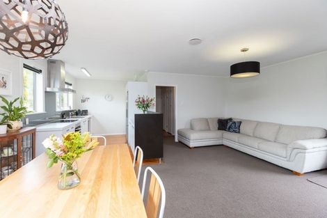 Photo of property in 21 Herbert Road, Queenwood, Hamilton, 3210