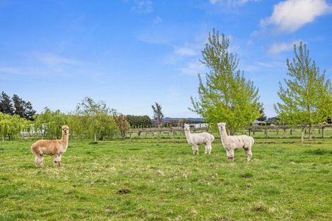 Photo of property in 465 Broad Road, Sefton, Rangiora, 7477