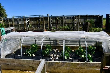 Photo of property in 91a Oparara Road, Karamea, 7893