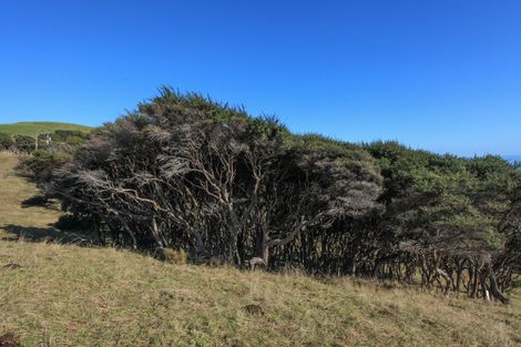 Photo of property in 1638 Whaanga Road, Raglan, 3296