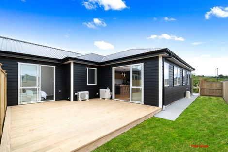 Photo of property in 17 Minerva Avenue, Helensville, 0800