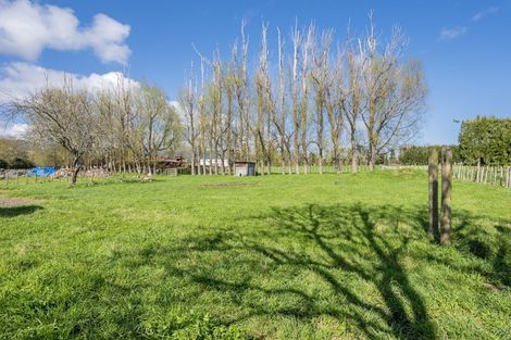 Photo of property in 292 Heatherlea Road East, Levin, 5571