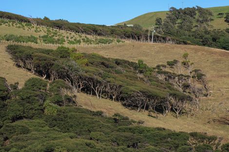 Photo of property in 1638 Whaanga Road, Raglan, 3296