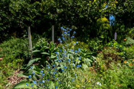 Photo of property in 13b Tieko Street, Otaihanga, Paraparaumu, 5036