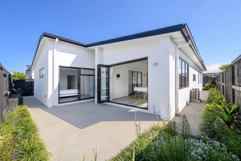 Photo of property in 12 Jacob Street, Brookfield, Tauranga, 3110
