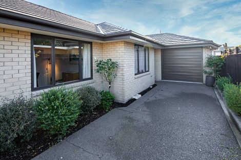 Photo of property in 19c Walpole Street, Waltham, Christchurch, 8023