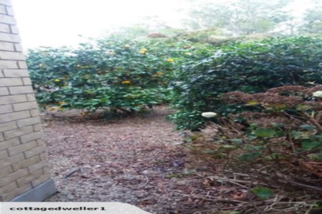 Photo of property in 4b Ngaio Crescent, Cambridge, 3434