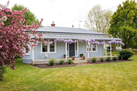 Photo of property in 11 Lawton Road, Feilding, 4775