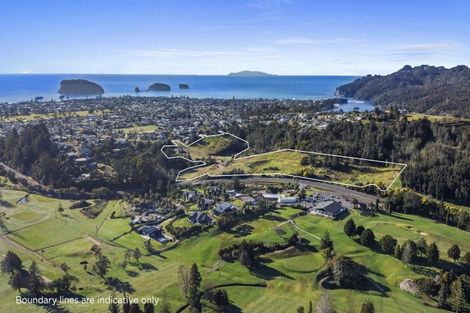 Photo of property in 315 The Drive, Whangamata, 3620