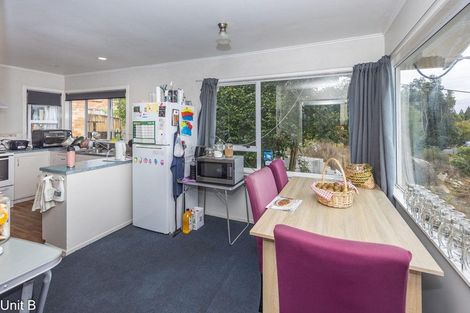 Photo of property in 103 Aurora Terrace, Hillcrest, Hamilton, 3216