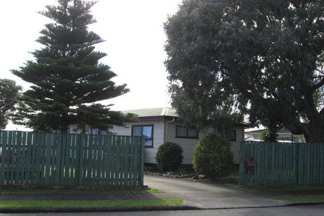Photo of property in 9 Martin Harvey Street, Levin, 5510