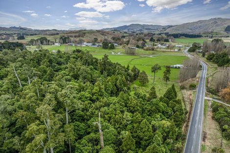 Photo of property in 19 Kenderdine Road, Elsthorpe, Otane, 4277