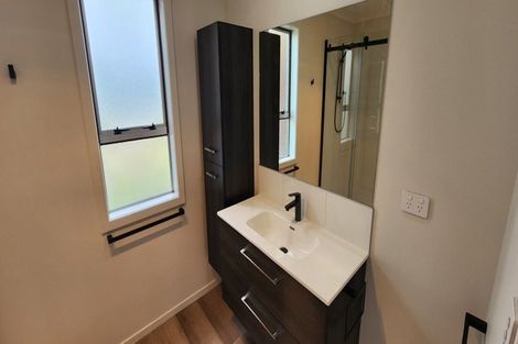 Photo of property in 14 Brecon Road, Stratford, 4332