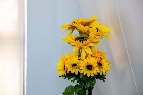 Photo of property in 7b Fairview Road, Katikati, 3129