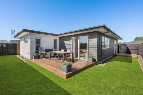 Photo of property in 19 Fauna Street, Halswell, Christchurch, 8025