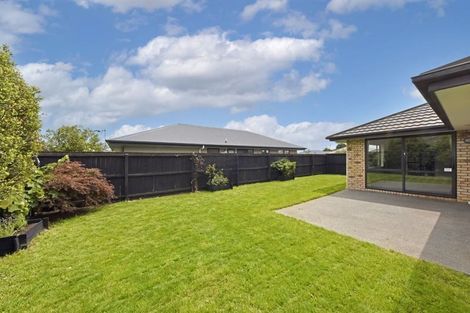 Photo of property in 6 Foresthill Place, Bromley, Christchurch, 8062