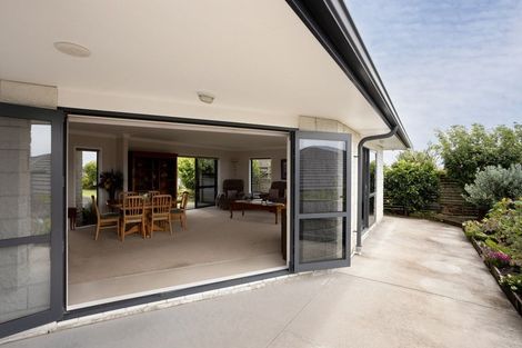 Photo of property in 20 Parkland Rise, Omokoroa, 3114