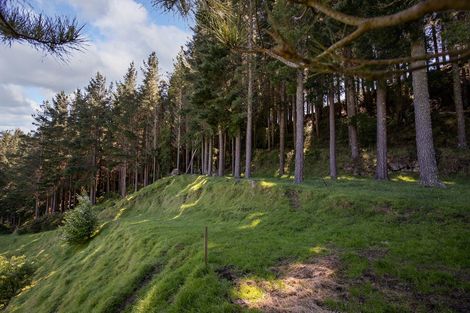 Photo of property in 1305 Opaki Kaiparoro Road, Mauriceville, Masterton, 5882