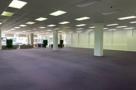 Photo of property in Marion Square Apartments, 3/26 Marion Street, Te Aro, Wellington, 6011