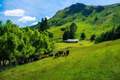 Photo of property in 240 Rockhill Road, Waerengaokuri, Manutuke, 4072