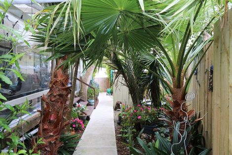 Photo of property in 13 Marlin Place, Whiritoa, Whangamata, 3691