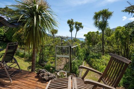 Photo of property in 565 Anakoha Road, Anakoha, Marlborough Sounds, 7284