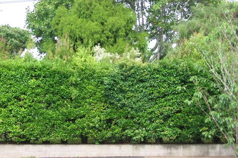 Photo of property in 224 Whitney Street, Blockhouse Bay, Auckland, 0600