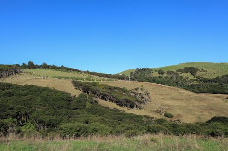 Photo of property in 1638 Whaanga Road, Raglan, 3296