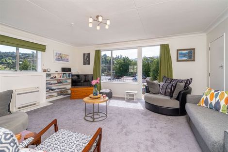 Photo of property in 39 Opoho Road, North East Valley, Dunedin, 9010