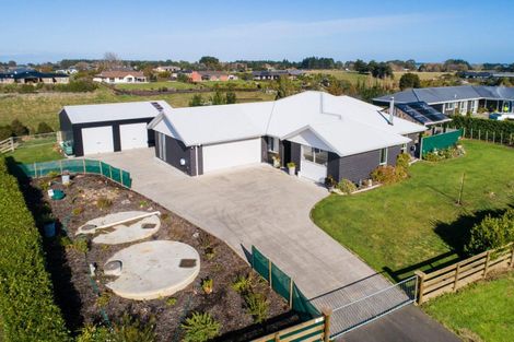 Photo of property in 31 Wapiti Avenue, Feilding, 4775