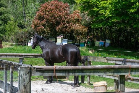 Photo of property in 1061 Paradise Valley Road, Ngongotaha Valley, Rotorua, 3072