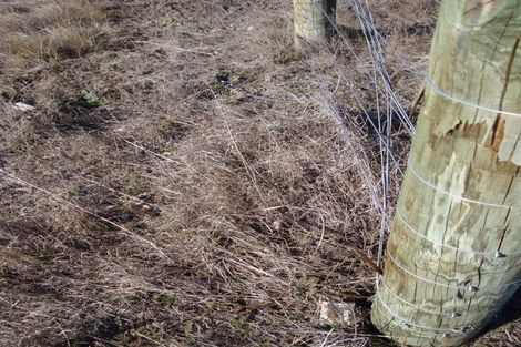 Photo of property in 14 Hardacre Place, Omarama, 9412