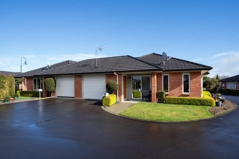 Photo of property in 11 Walter Court, Cambridge, 3434