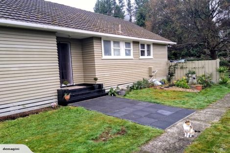 Photo of property in 31 Maire Street, Wairakei, Taupo, 3332