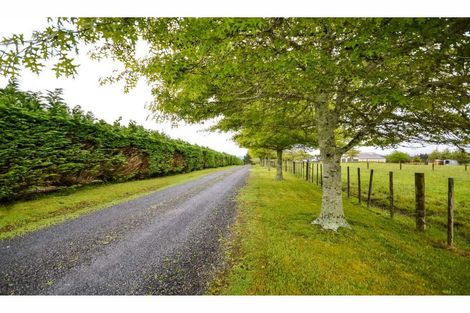 Photo of property in 1053 Wiroa Road, Okaihau, 0475