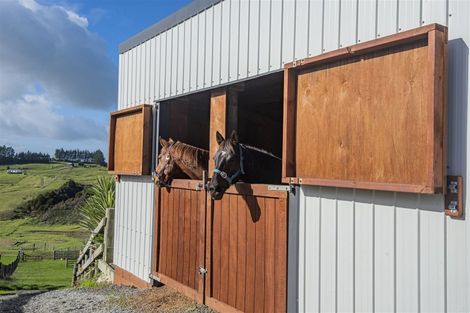 Photo of property in 101 Stunnell Road, Otaika, Whangarei, 0170