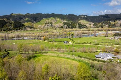Photo of property in 155 Matangi Road, Tuki Tuki, Havelock North, 4294