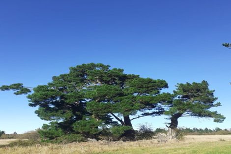 Photo of property in 425 Island Road, View Hill, Oxford, 7495