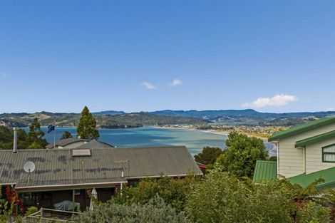 Photo of property in 101 Centennial Drive, Whitianga, 3510