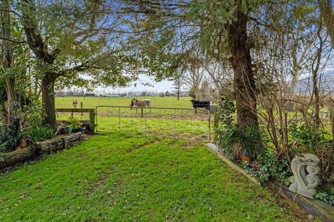 Photo of property in 43 Mikkelsen Road, Te Aroha, 3393