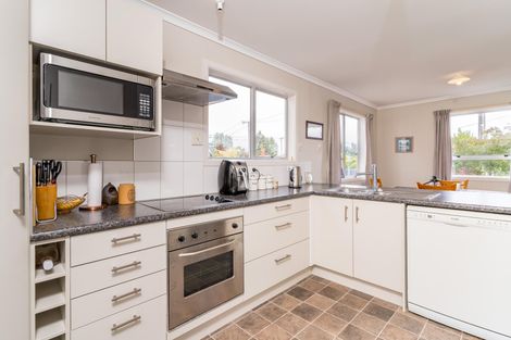 Photo of property in 17 Macaulay Place, Twizel, 7901