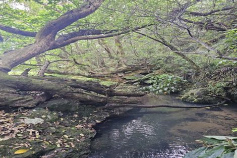 Photo of property in 121 Ohawini Road, Oakura, Hikurangi, 0184