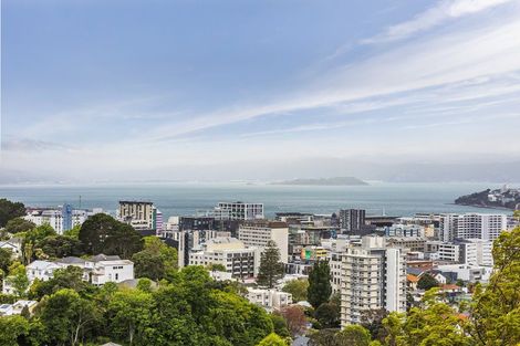 Photo of property in 8 Durham Crescent, Aro Valley, Wellington, 6021