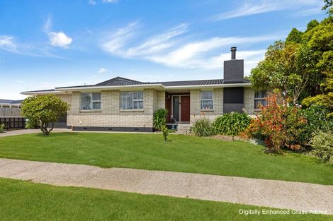 Photo of property in 134 Stanford Street North, Ashhurst, 4810